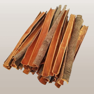 VIETNAMESE SPLIT CASSIA