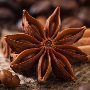 ANISE/ STAR ANISE